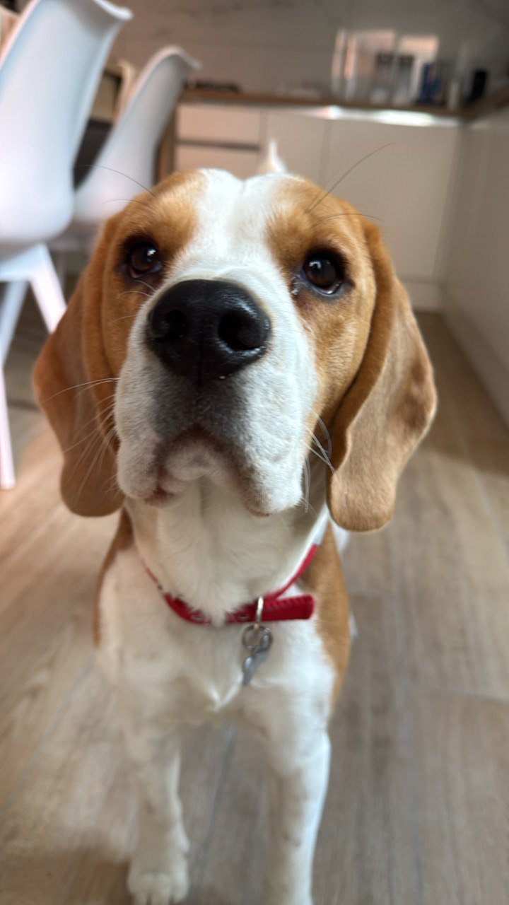 WhatsApp Image 2025-12-17 at 14.49.190