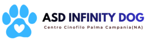 ASDinfinitydog.it