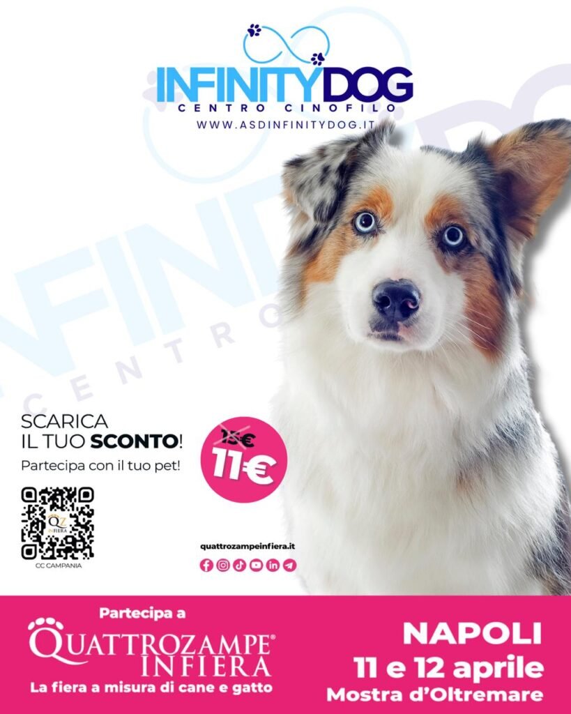 Infinity Dog a Quattrozampe in Fiera Napoli – 11 e 12 Aprile